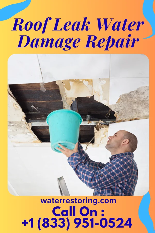 Roof Leak Water Damage Repair in Brighton, IA